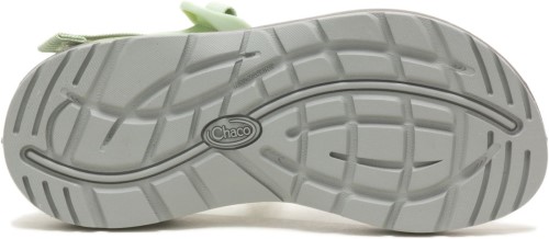 Bracken Celedon Z/2 Classic Chacos Femme Chaud