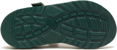 Brook Trout Chacos Hommes X Thomas Rhett Z / 1 Classique Chaud