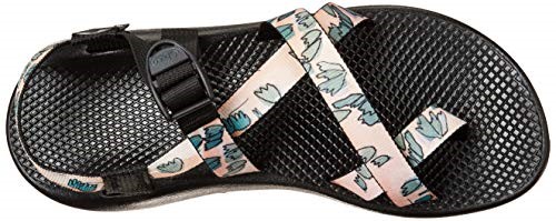 Cat Wall Chacos Sandale Classique Z1 Pour Femme Chaude