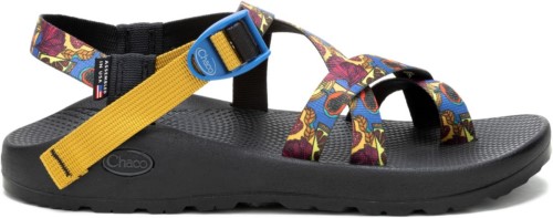 Chacos Fruit Blue Femme Z/2 Collection Classic Harvest Chaud