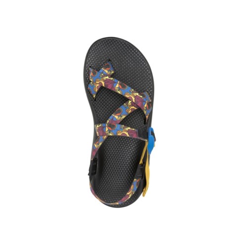 Chacos Fruit Blue Femme Z/2 Collection Classic Harvest Chaud