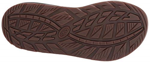 Chacos Sandale Pour Hommes Carrément Pin Chaud