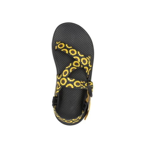 Chacos Tournesol Noir Collection Z/1 Classic Harvest Pour Femme Chaud
