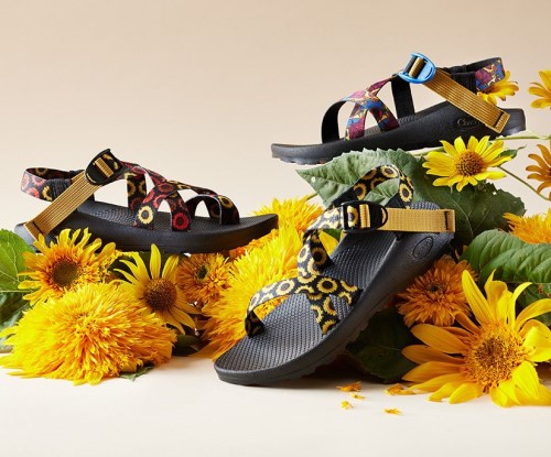Chacos Z/2 Classic Harvest Collection Femme Tournesol Noir Chaud