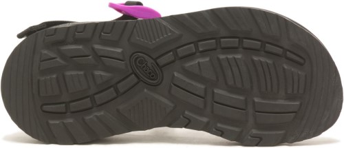 Chacos Femme Z/cloud Fruit Du Dragon Fuchsia Chaud