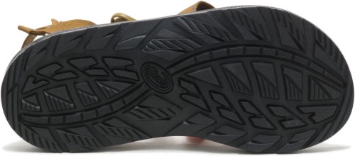Z/cloud 2 Homme Aérien Bronze Chacos Hot
