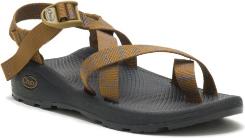 Z/cloud 2 Homme Aérien Bronze Chacos Hot
