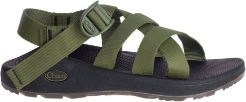 Moss Lichen Hommes Z/1 Classic Chacos Hot