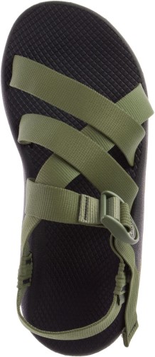 Moss Lichen Hommes Z/1 Classic Chacos Hot