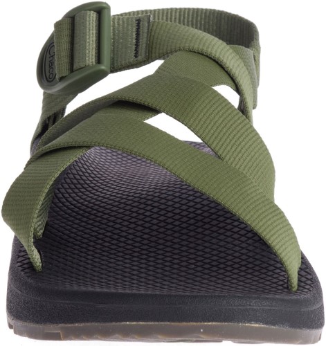 Moss Lichen Hommes Z/1 Classic Chacos Hot