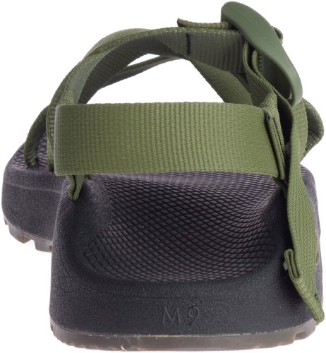 Moss Lichen Hommes Z/1 Classic Chacos Hot