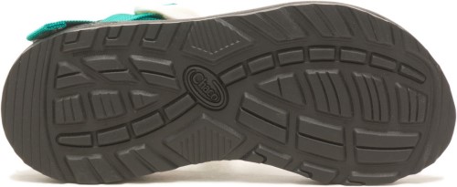 Radiant Multi Femme Z/2 Classic Chacos Hot