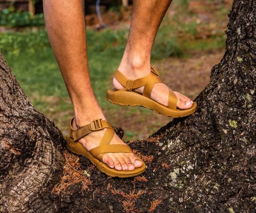 Tetra Moss Chacos Homme Z/cloud Large Largeur Chaud